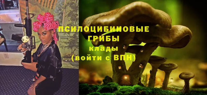 Галлюциногенные грибы Magic Shrooms Тулун